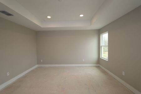 New construction Single-Family house 30988 Pendleton Landing Cir, Wesley Chapel, FL 33545 Cypress- photo 83 83