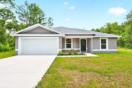 New construction Single-Family house 36 Fisher Lane Crse, Ocklawaha, FL 32179 - image