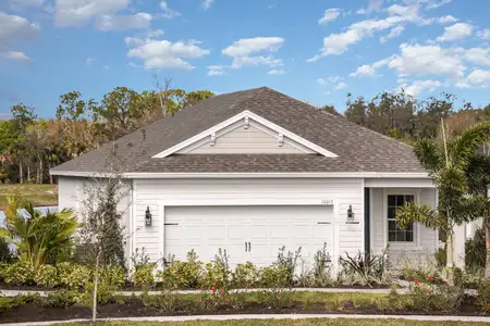 New construction Single-Family house 10025 Hammock Brook Dr, Parrish, FL 34219 plan Dream 2 - image 18