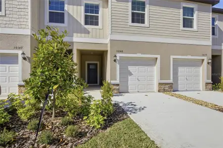 New construction Townhouse house 10149 Trumpet Honeysuckle Wy, San Antonio, FL 33576 - image