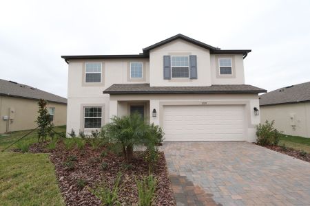 New construction Single-Family house 12219 Hilltop Farms Dr, Dade City, FL 33525 Malibu- photo 212 212