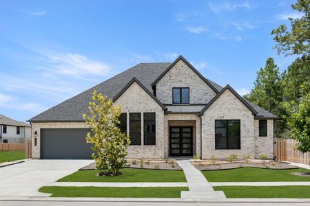 New construction Single-Family house 41810 Wendele Wy, Todd Mission, TX 77316 plan Eastland II - image
