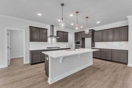 New construction Single-Family house 9101 Dupree Meadow Dr, Angier, NC 27501 plan The Hampton - image 8