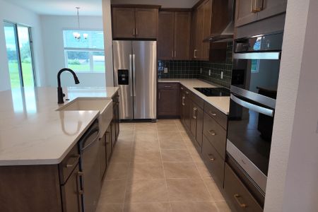 New construction Single-Family house 2029 Heart Lake Dr, Groveland, FL 34736 plan Sims - image 7