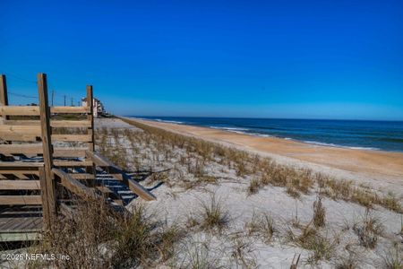 New construction Single-Family house 141 Seaside Vista Ct, St. Augustine, FL 32084 Fernandina- photo 65 65