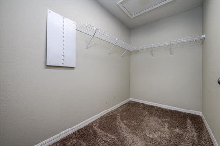 New construction Single-Family house 34200 Scarlet Sage Ct, Wesley Chapel, FL 33545 plan Turquesa - image 14