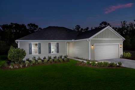 New construction Single-Family house 38 Rosita Pl, St. Augustine, FL 32086 null- photo 4 4