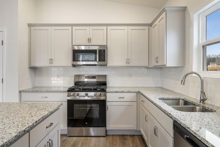 New construction Single-Family house 7067 Fairview Falls Dr, Chesnee, SC 29323 plan Dorchester - image 9