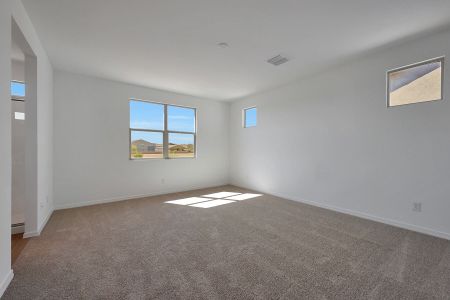 New construction Single-Family house 4069 W Nora Dr, San Tan Valley, AZ 85142 Pacific- photo 20 20