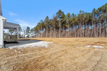 New construction Single-Family house 120 Bold Dr, Youngsville, NC 27596 Yates- photo 29 29