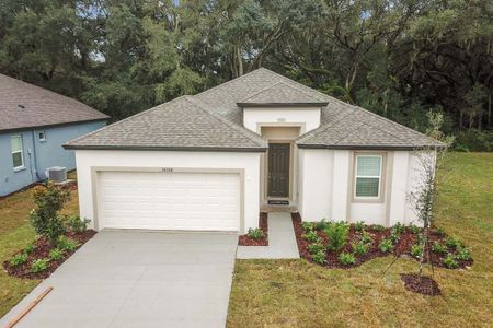 New construction Single-Family house 34826 Mulrion Dr, Zephyrhills, FL 33541 null- photo 0