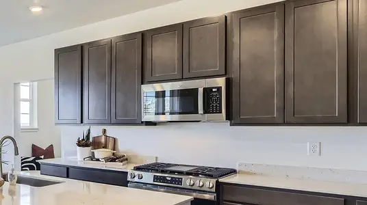 New construction Single-Family house 7454 S Yank Ct, Littleton, CO 80127 plan Stonehaven - image