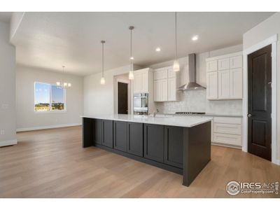 New construction Single-Family house 24113 E 36Th Pl, Aurora, CO 80019 plan Camden - image 11