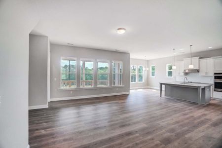 New construction Single-Family house 504 Fern Hill Rd, Mooresville, NC 28117 plan Davidson - image 12