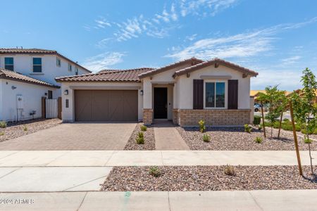 Ascent at Jorde Farms by Shea Homes in Queen Creek - photo 16 16