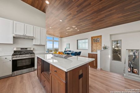 New construction Single-Family house 301 Vip, Canyon Lake, TX 78133 - image