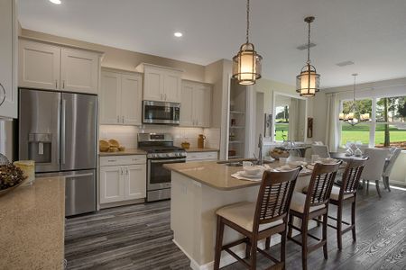 New construction Single-Family house 8447 Sw 99Th Street Rd, Ocala, FL 34481 plan Longleaf Ridge - Livingston - image 4