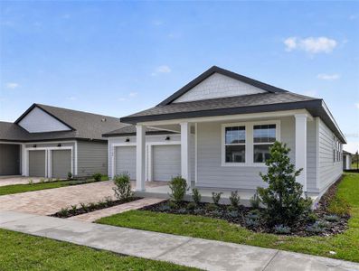 New construction Single-Family house 30149 Misty Pines Rd, Mount Dora, FL 32757 - image