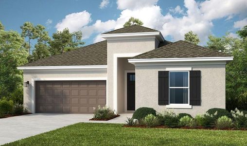 New construction Single-Family house 2061 Longliner Lp, Wesley Chapel, FL 33543 Antigua- photo 0 0