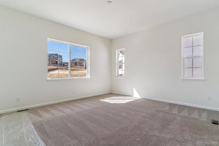 New construction Single-Family house 4411 Hickory Oaks St, Castle Rock, CO 80104 Harris- photo 9 9