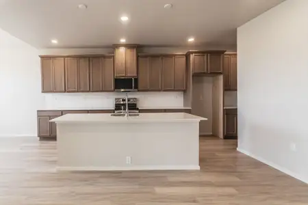 New construction Single-Family house 734 Trumpet Ct, Windsor, CO 80550 plan Morrison - image 12