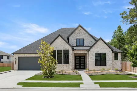 New construction Single-Family house 41810 Wendele Wy, Todd Mission, TX 77316 plan Eastland II - image