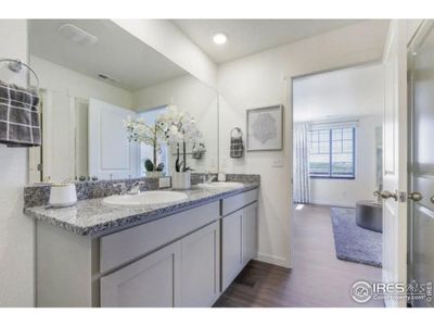 New construction Single-Family house 4204 Sandstone Dr, Mead, CO 80504 BELLAMY- photo 13 13
