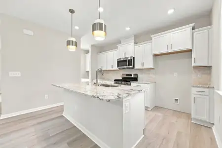 New construction Single-Family house 57 Baird Cove Ln, Angier, NC 27501 plan The Hawthorne - image 6