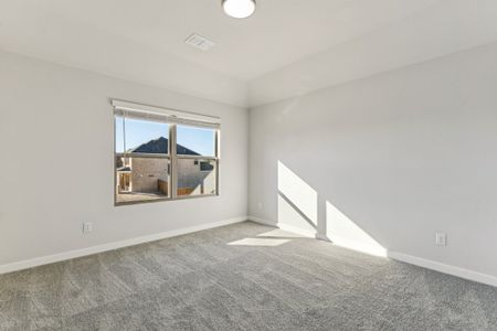 New construction Single-Family house 1098 Dewy Lake Pl, Lavon, TX 75166 plan Wimbledon | Elevon 60's - image 20