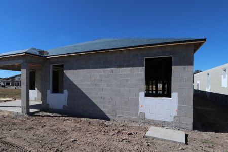 New construction Single-Family house 3142 Adams Cross Dr, Zephyrhills, FL 33540 Picasso- photo 20 20