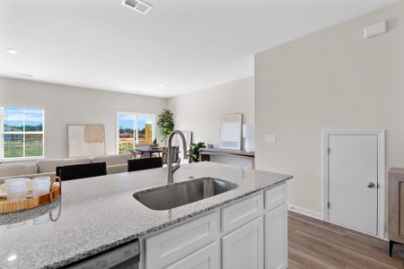 New construction Single-Family house 758 Gatestone Ln, Unit (71), Hopkins, SC 29061 plan Balsa - image 12