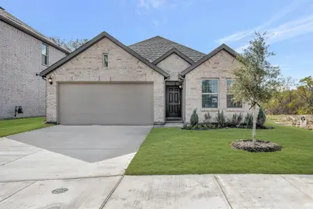 New construction Single-Family house 437 Forsyth Dr, Princeton, TX 75407 plan Freestone - image