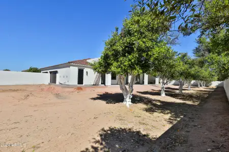 New construction Single-Family house 2041 N Orchard St, Mesa, AZ 85213 null- photo 43 43