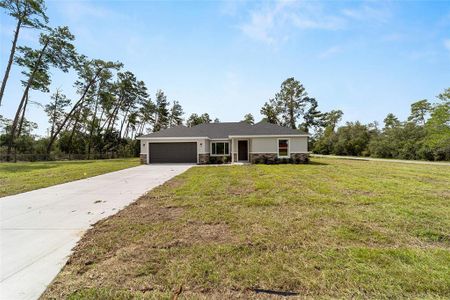 New construction Single-Family house 13103 Ne 7Th Lp, Silver Springs, FL 34488 - image