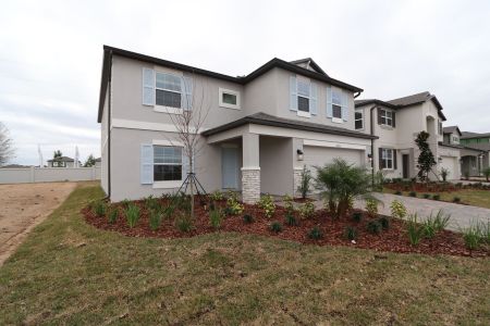 New construction Single-Family house 38350 Tobiano Loop, Dade City, FL 33525 Cabo- photo 138 138