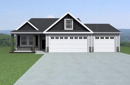 New construction Single-Family house 583 Adventure Isla Wy, Campobello, SC 29322 - image