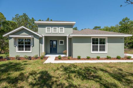 New construction Single-Family house 1382 N Hambletonian Drive, Hernando, FL 34442 - photo 0