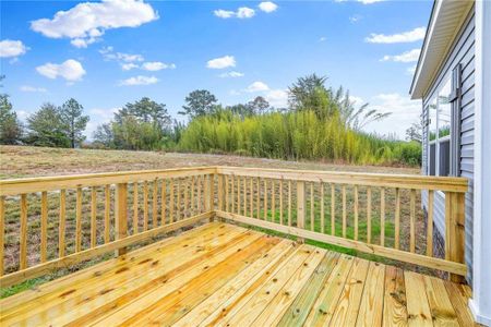 New construction Single-Family house 332 Mineral Springs Trl, Demorest, GA 30535 - image