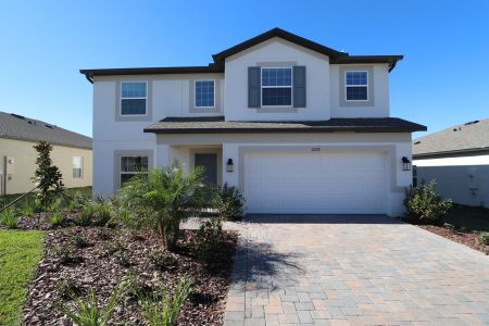 New construction Single-Family house 12219 Hilltop Farms Dr, Dade City, FL 33525 Malibu- photo 169 169