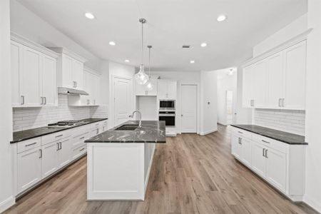 Sunterra by New Home Co. in Katy - photo 16 16