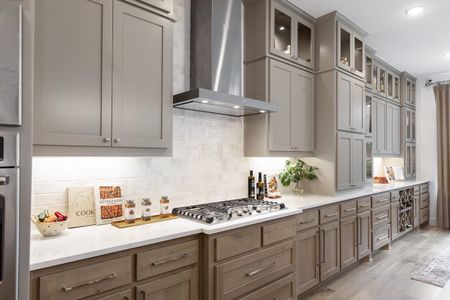 New construction Single-Family house 2036 Grey Birch Pl, Aledo, TX 76008 plan 222 - image 12