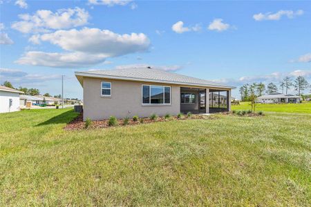 New construction Single-Family house 10977 Sw 101St Lp, Ocala, FL 34481 null- photo 8 8