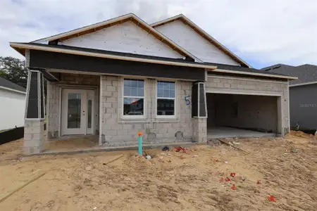 New construction Single-Family house 357 Lady Palm St, Apopka, FL 32703 plan Capistrano II - Eco Series - image