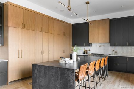 New construction Single-Family house 5292 Lions Paw St, Castle Rock, CO 80104 plan Birch - image 11