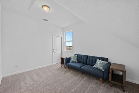 New construction Townhouse house 2155 Hofstaat, New Braunfels, TX 78130 null- photo 20 20