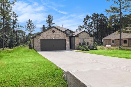 New construction Single-Family house 13348 Wichita Fall Trl, Conroe, TX 77303 - image