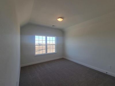 New construction Single-Family house 4424 Aralia Dr, Fort Worth, TX 76036 - image 19