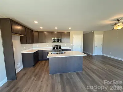 New construction Single-Family house 87 Coon Creek Rd, Pageland, SC 29728 - image 4