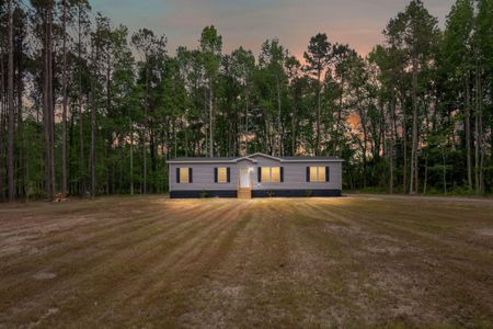 New construction Mobile Home house 184 Gaines Cir, Cottageville, SC 29435 - image