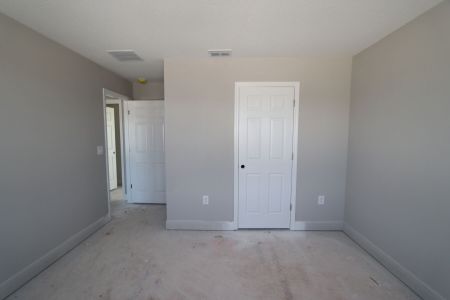 New construction Single-Family house 31236 Denham Ridge Ln, Wesley Chapel, FL 33545 Santa Monica- photo 89 89